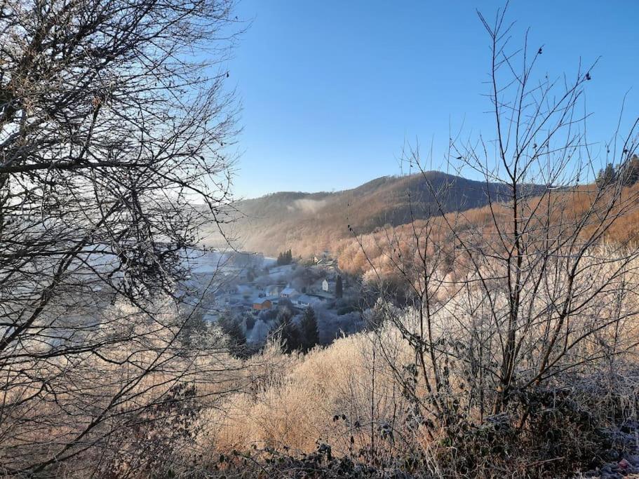 Chalet A L'Oree Du Bois Avec Parking Tournavaux Екстер'єр фото